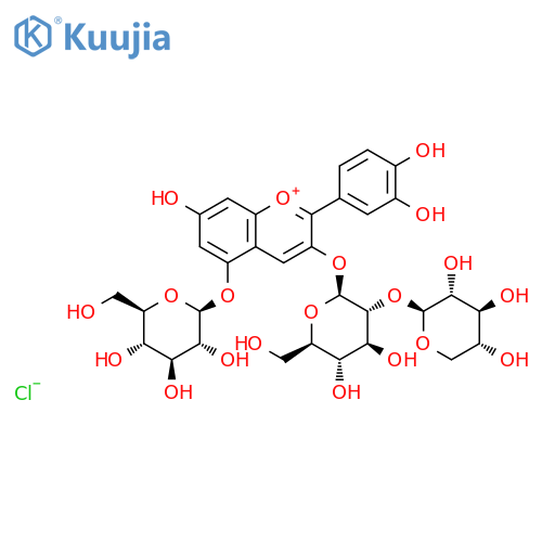 1-Benzopyrylium, 2-(3,4-dihydroxyphenyl)-5-(β-D-glucopyranosyloxy)-7-hydroxy-3-[(2-O-β-D-xylopyranosyl-β-D-glucopyranosyl)oxy]-, chloride (1:1) structure