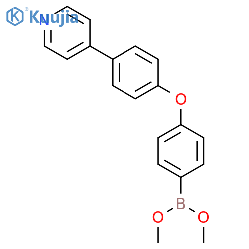 Boronic acid, [4-[4-(4-pyridinyl)phenoxy]phenyl]-, dimethyl ester structure