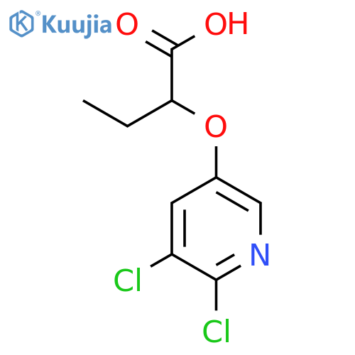 Butanoic acid, 2-[(5,6-dichloro-3-pyridinyl)oxy]- structure