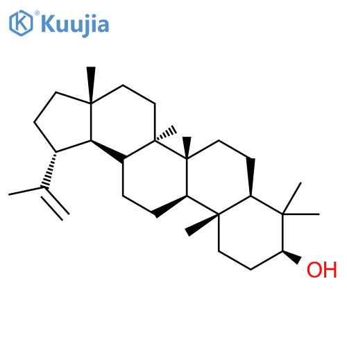 lupeol structure