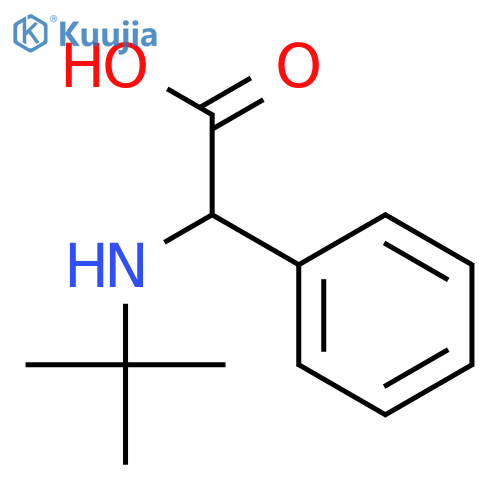 (tert-butylamino)(phenyl)acetic acid structure