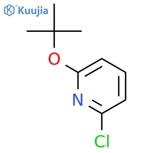 2-tert-butoxy-6-chloropyridine structure