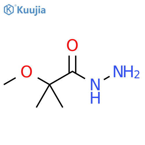 2-methoxy-2-methylpropanehydrazide structure