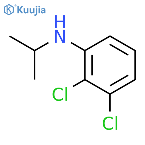 2,3-dichloro-N-(propan-2-yl)aniline structure
