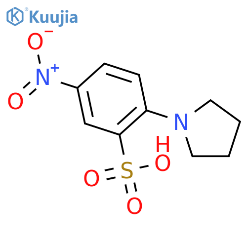 BENZENESULFONIC ACID, 5-NITRO-2-(1-PYRROLIDINYL)- structure