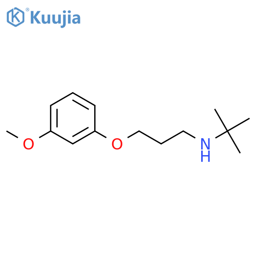N-tert-butyl-3-(3-methoxyphenoxy)propan-1-amine structure