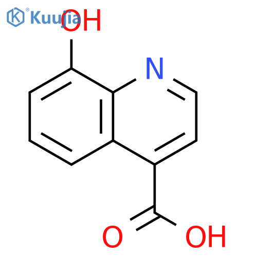 8-hydroxyquinoline-4-carboxylic acid structure