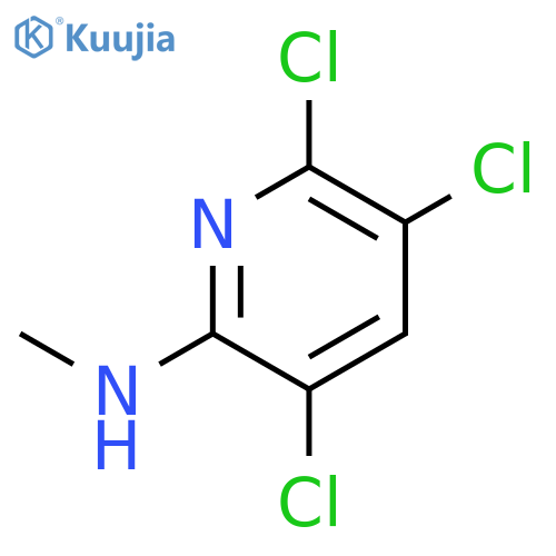 2-Pyridinamine, 3,5,6-trichloro-N-methyl- structure