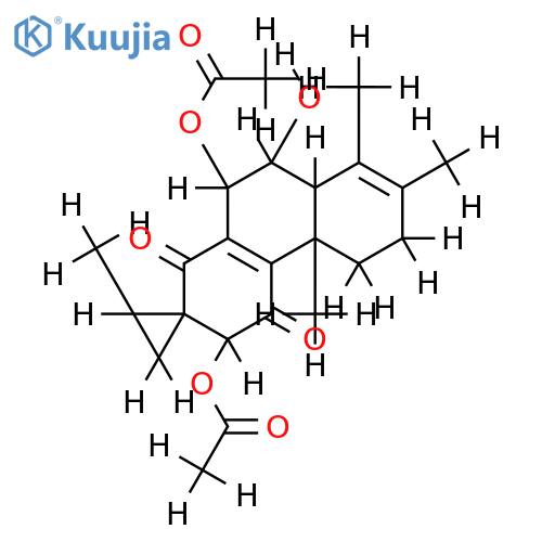 Coleon M structure
