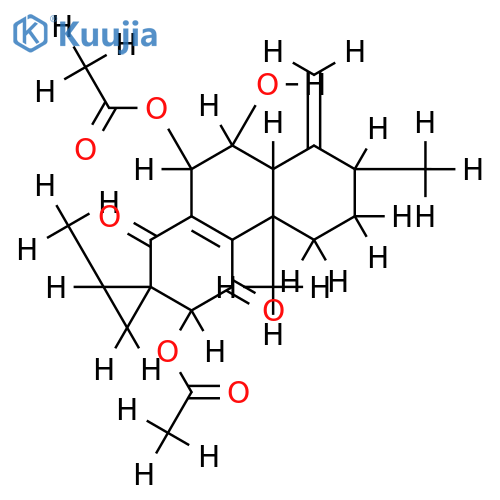 Coleon N structure