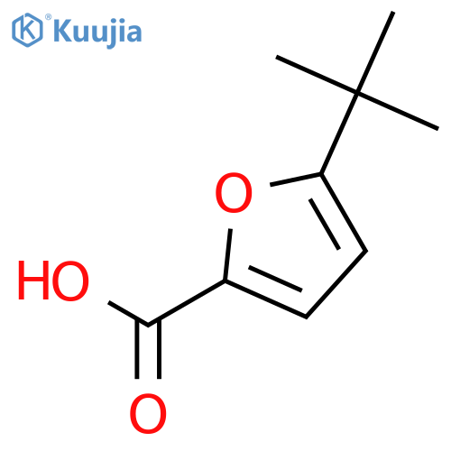 5-tert-butylfuran-2-carboxylic acid structure