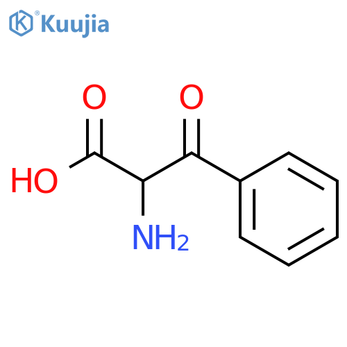 beta-oxophenylalanine structure