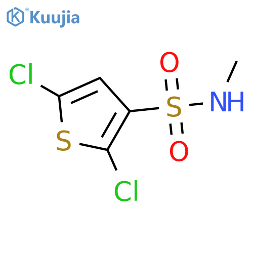 3-THIOPHENESULFONAMIDE, 2,5-DICHLORO-N-METHYL- structure