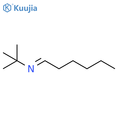 2-PROPANAMINE, N-HEXYLIDENE-2-METHYL- structure