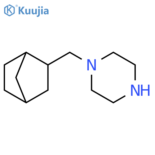 1-({bicyclo2.2.1heptan-2-yl}methyl)piperazine structure