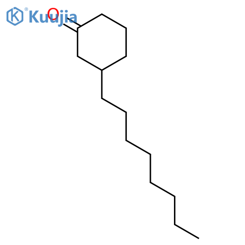 CYCLOHEXANONE, 3-OCTYL- structure