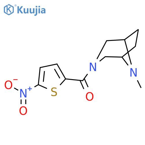 Methanone,(8-methyl-3,8-diazabicyclo[3.2.1]oct-3-yl)(5-nitro-2-thienyl)- structure