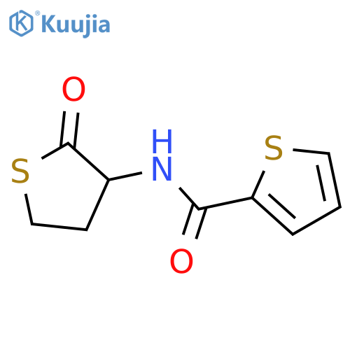 N-(2-oxothiolan-3-yl)thiophene-2-carboxamide structure