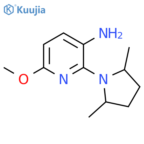 3-Pyridinamine, 2-(2,5-dimethyl-1-pyrrolidinyl)-6-methoxy- structure