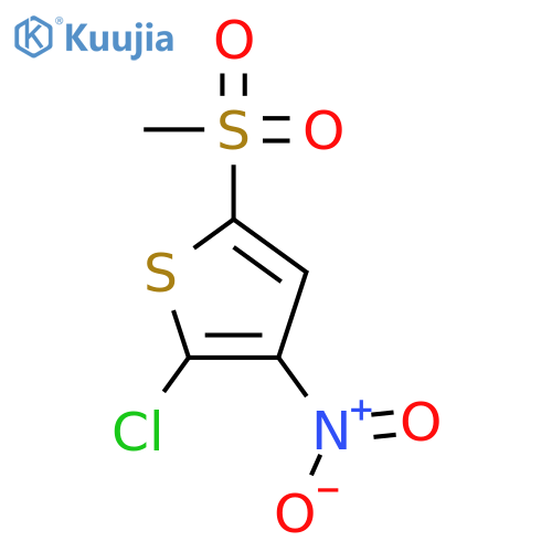 2-Chloro-5-methanesulfonyl-3-nitrothiophene structure