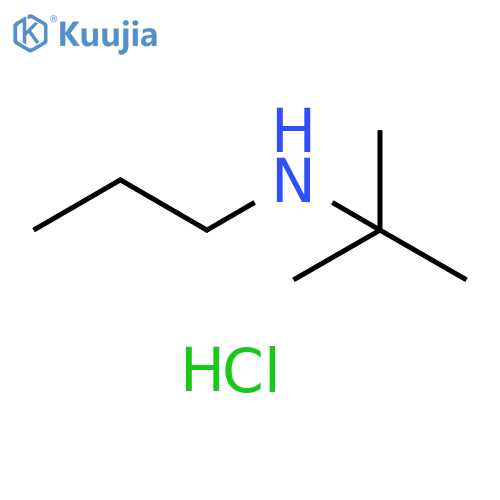 tert-butyl(propyl)amine hydrochloride structure