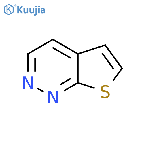 Thieno[2,3-c]pyridazine structure