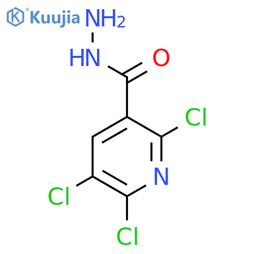 2,5,6-Trichloronicotinohydrazide structure
