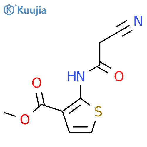 Methyl 2-(cyanoacetyl)aminothiophene-3-carboxylate structure