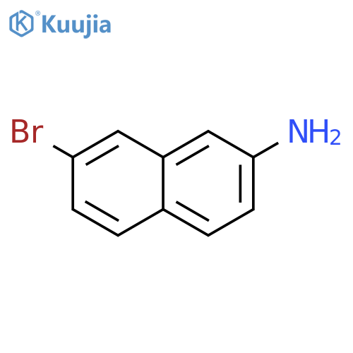 7-bromonaphthalen-2-amine structure