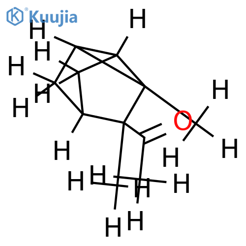 Santalon structure