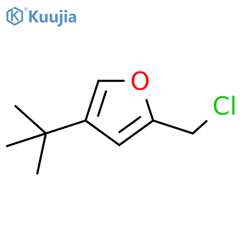 2-(chloromethyl)-4-(1,1-dimethylethyl)-Furan structure