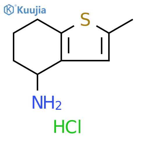 Benzo[b]thiophen-4-amine, 4,5,6,7-tetrahydro-2-methyl-, hydrochloride structure