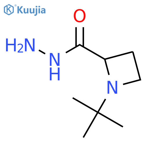 1-tert-butylazetidine-2-carbohydrazide structure