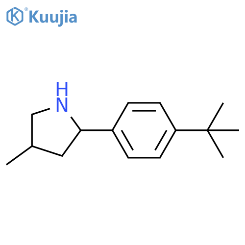 Pyrrolidine, 2-[4-(1,1-dimethylethyl)phenyl]-4-methyl- (9ci) structure