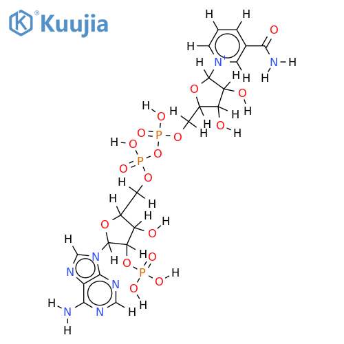 beta-NADP+ structure