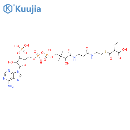 Coenzyme A, S-(hydrogen 2-ethylpropanedioate) structure