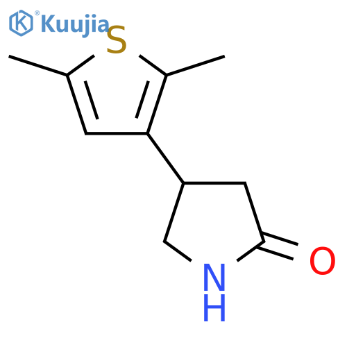 4-(2,5-dimethylthiophen-3-yl)pyrrolidin-2-one structure