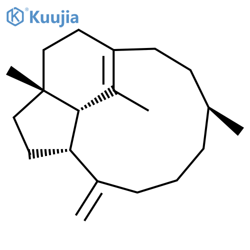 Trinervitene structure