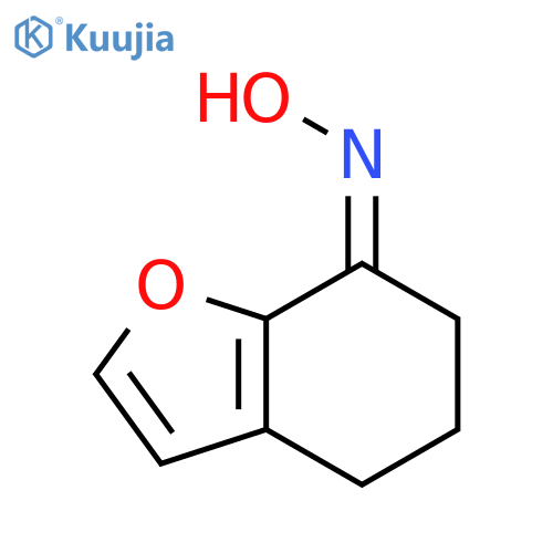 7(4H)-BENZOFURANONE, 5,6-DIHYDRO-, OXIME, (7Z)- structure