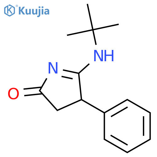 2H-Pyrrol-2-one, 5-[(1,1-dimethylethyl)amino]-3,4-dihydro-4-phenyl- structure