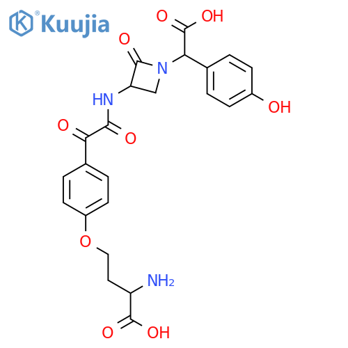 Nocardicin D structure