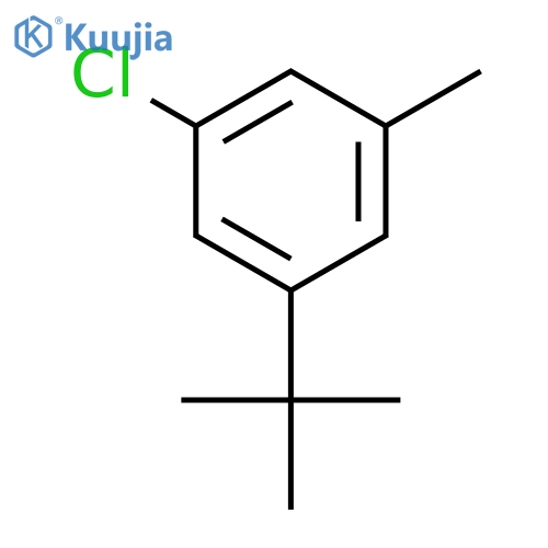 3-t-Butyl-5-chlorotoluene structure