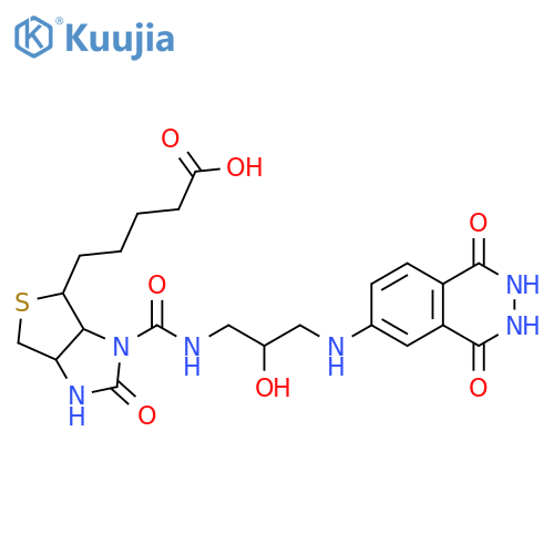 1H-Thieno[3,4-d]imidazole-4-pentanoic acid, hexahydro-3-[[[2-hydroxy-3-[(1,2,3,4-tetrahydro-1,4-dioxo-6-phthalazinyl)amino]propyl]amino]carbonyl]-2-oxo- structure