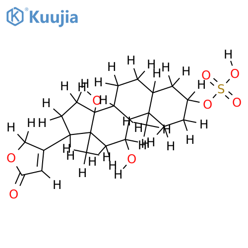 3-Sulfate -(3beta,5beta,11alpha,14beta)-3,5,14-Trihydroxycard-20(22)-enolide structure