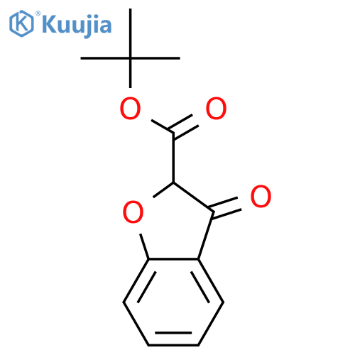 2-Benzofurancarboxylic acid, 2,3-dihydro-3-oxo-, 1,1-dimethylethyl ester structure