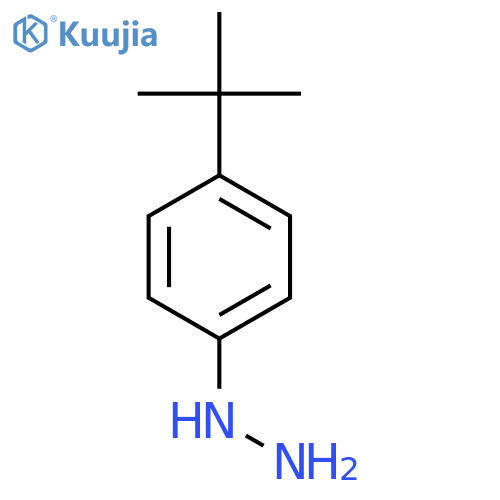 (4-tert-Butylphenyl)hydrazine structure
