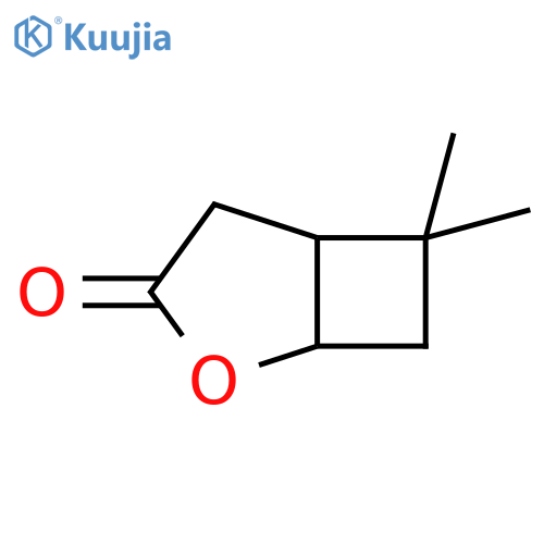 2-Oxabicyclo[3.2.0]heptan-3-one, 6,6-dimethyl- structure