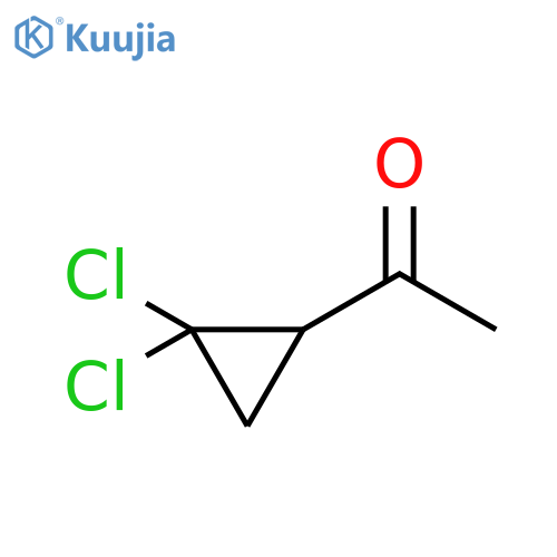 1-(2,2-dichlorocyclopropyl)ethan-1-one structure