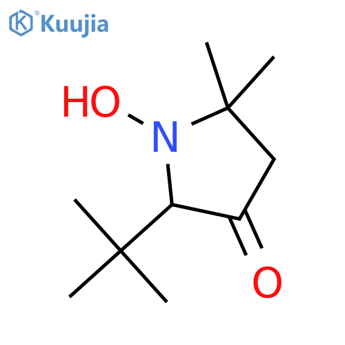 3-Pyrrolidinone, 2-(1,1-dimethylethyl)-1-hydroxy-5,5-dimethyl- structure