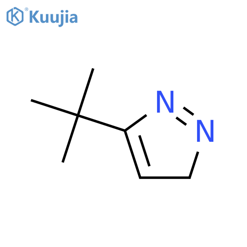 3H-Pyrazol-3-ylidene, 5-(1,1-dimethylethyl)- structure